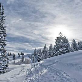 Escape From Beaver Creek by Rauch Jonathan Photographies