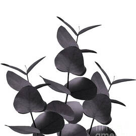 Eucalyptus Leaves Black White #1 #foliage #decor #art by Anitas and Bellas Art