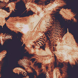 Exotic dreams by Jorgo Photography