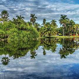 Fairchild Tropical Botanic Garden by Laura Zeid
