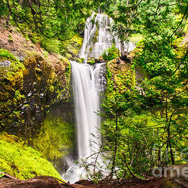 Falls Creek Falls by Bruce Block
