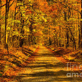 Fayette County Old Country Road by Adam Jewell