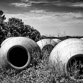 Feed me - black and white by Tatiana Travelways