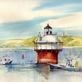 Fishing Bug Light by P Anthony Visco