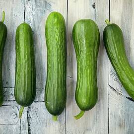 Five Mini Cucumbers In A Row by Giorgio Scarlini