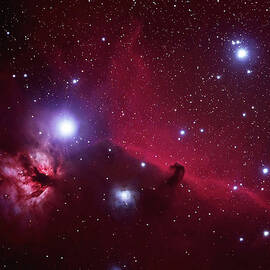 Flame And Horsehead Nebula by Pat Gaines