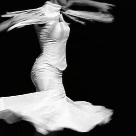 Flamenco Flying by T-immagini