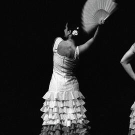 Flamenco Lace Fan by T-immagini