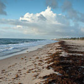 Florida Beach With Gentle Waves And by Drnadig