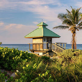 Florida, Boca Raton, Lifeguard Tower & Palm Tree On The Beach by Laura Diez