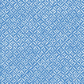 Flower Power Pattern Vid by Mike Schick