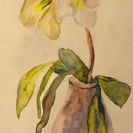 Flower Still Life by Heritage Images