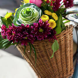 Flowers In Bicycle Basket by Ryla Campbell