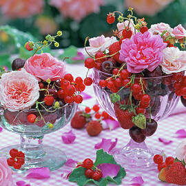 Flowers Of Rosa, Fragaria, Ribes by Friedrich Strauss