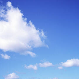 Fluffy Cloud In Blue Sky by Dougal Waters