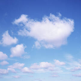 Fluffy White Clouds In Blue Sky by Dougal Waters