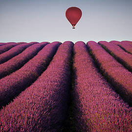 Flying High by Paul Baggaley
