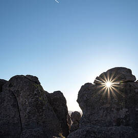 Flying into the Sun by Mary Lee Dereske