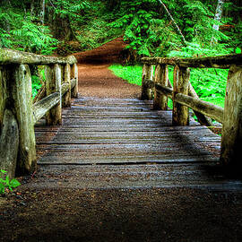 Forest Foot Bridge by Bill Hinton Photography
