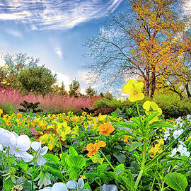 Fort Worth Botanical Gardens by Dean Fikar