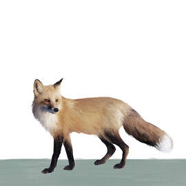 Fox on Sage by Amy Hamilton