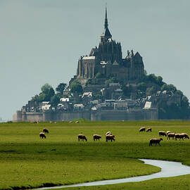 France, Normandy, Mont Saint-michel, English Channel, Basse-normandie by Olimpio Fantuz