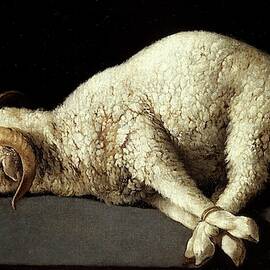 Francisco de Zurbaran / 'Agnus Dei -The Lamb of God-', 1635-1640