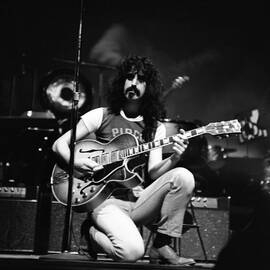 Frank Zappa And The Mothers In Ny by Donaldson Collection