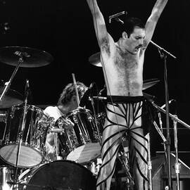 Freddie Mercury by Express Newspapers