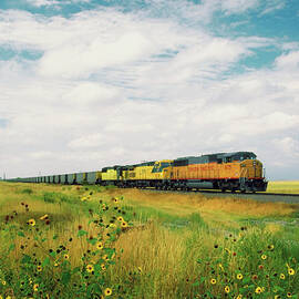 Freight Train Passing Through A Field by Medioimages photodisc