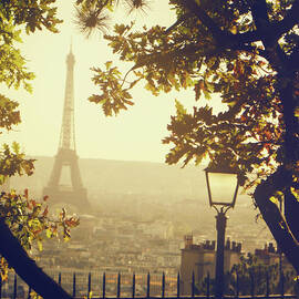 French Romance by By Smaranda Madalina Cheregi