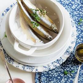 Fresh Smelts On Ice In A Cup by Au Petit Gout Photography Llc
