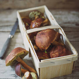 Fresh Wild Mushrooms In A Wooden Basket by Jan Wischnewski
