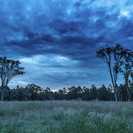 Friendship Blue Hour Sunrise by Louis Dallara