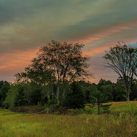Pine Lands in Friendship Sunrise by Louis Dallara