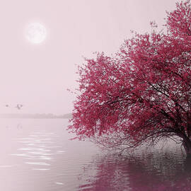 Full Moon On The Lake by Philippe Sainte-laudy Photography