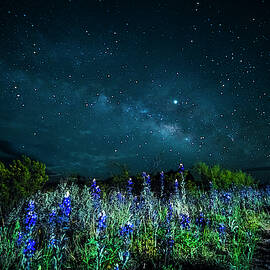 Galactic Bluebonnets by David Morefield