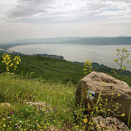 Galilee View by Zepperwing