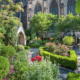 Garden At St John The Divine, Nyc by Lumiere