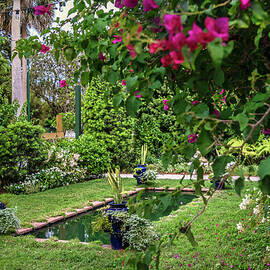 Garden With Pool by Laura Zeid