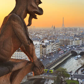 Gargoyle On Notre Dame De Paris by Luigi Vaccarella