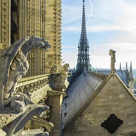 Gargoyles On Notre Dame De Paris by Guido Cozzi