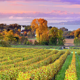 Germany, Baden-wurttemberg, Unteruhldingen, Swabia, Landscape And Vineyards On Lake Constance (bodensee) With St. Martin Church by Francesco Carovillano