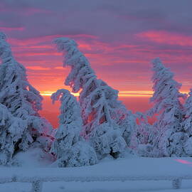 Germany, Winter Landscape by Cornelia Dorr