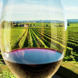 Glass Of Amarone Wine by Franco Cogoli