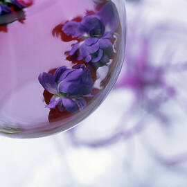 Glass With Violet Liqueur by Ferruccio Carassale