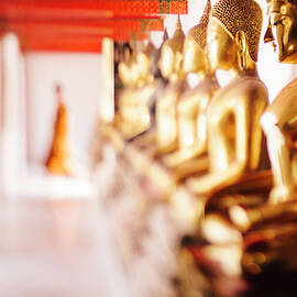 Gold Buddha Statues by Gavin Gough