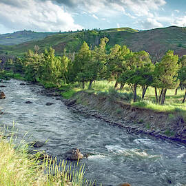 Golden Light Along the Yellowstone River by Marcy Wielfaert