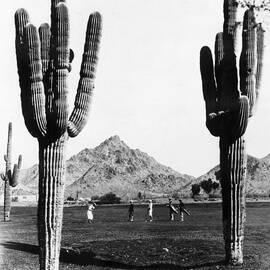 Golf In The Desert by General Photographic Agency