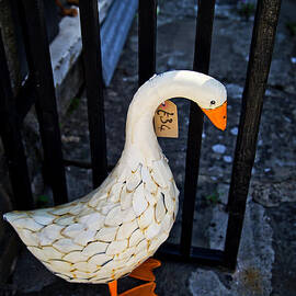 Goose for sale by Bruce Block